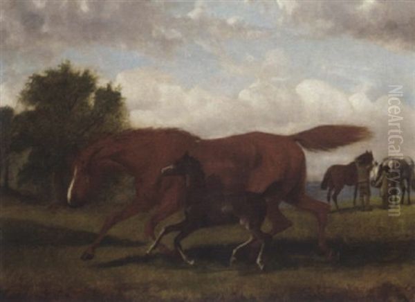 A Brood Mare And Foal In A Paddock - view 1