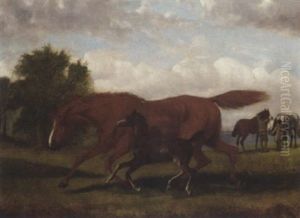 A Brood Mare And Foal In A Paddock