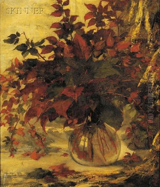 ... Leaves - view 1
