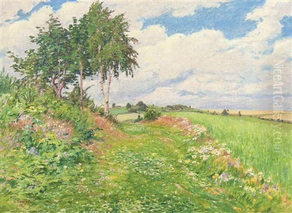 Green Way To Hradisko - view 1