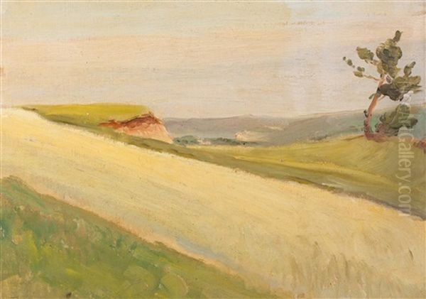 Landscape Study - view 1
