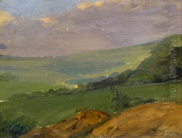 Letni Krajina - view 1
