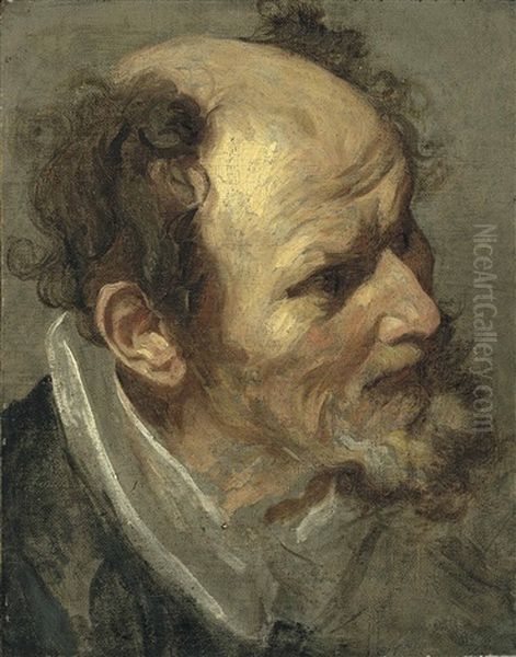 Head Of A Bearded Man - view 1