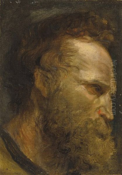Head Study Of A Bearded Man - view 1