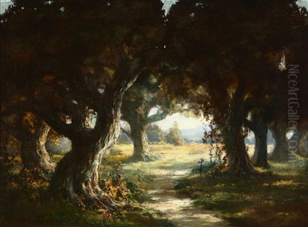 Los Gatos Pathway - view 1