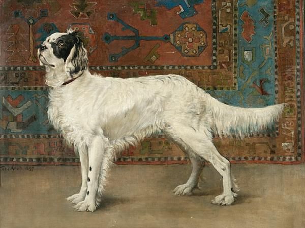 A Study Of A Setter - view 1
