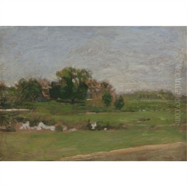 The Meadows, Gloucester, New Jersey (preliminary Study) - view 1