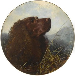 A Sussex Spaniel by George Earl