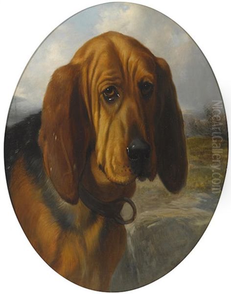 Matchless, A Bloodhound - view 1