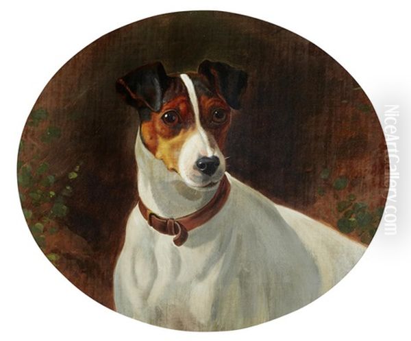 Trimmer, A Smooth Fox Terrier - view 1