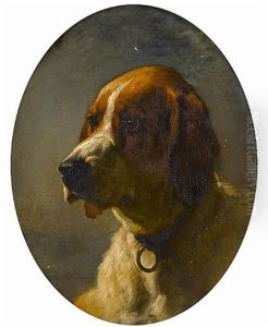 Study Of The Head Of A Hound