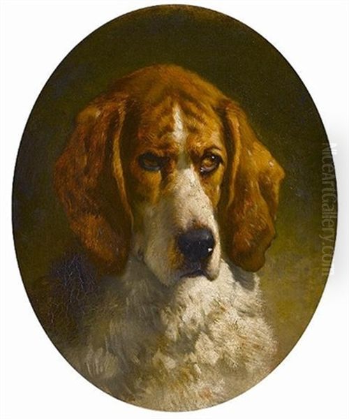 Study Of A Hound - view 1