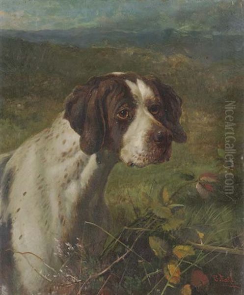 A Pointer In A Moorland Landscape - view 1