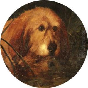 An Otter Hound In Reeds by George Earl