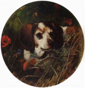 A Beagle In A Thicket