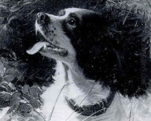 Study Of A Head Of A Spaniel by George Earl