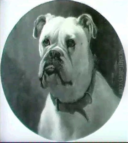 Portrait Of The Champion English Bulldog "michael The Archangel" - view 1
