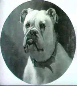 Portrait Of The Champion English Bulldog "michael The Archangel" by George Earl