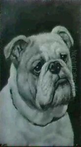 Portraits Of Bulldogs: A Pair Paintings by George Earl