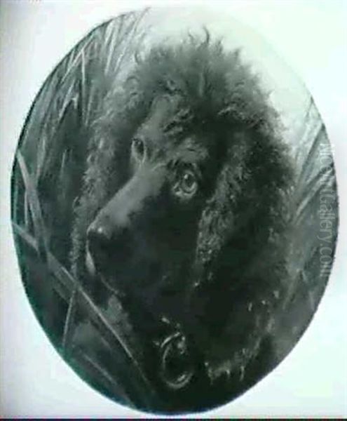 Dog Portraits: A Set Of Seven Paintings - view 1