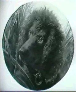 Dog Portraits: A Set Of Seven Paintings by George Earl