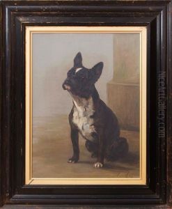 Portrait Of A Boston Terrier by Maud Earl