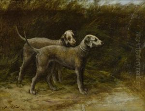 Two Bedlington Terriers (champion Breakwater Squire And Champion Breakwater Girl)