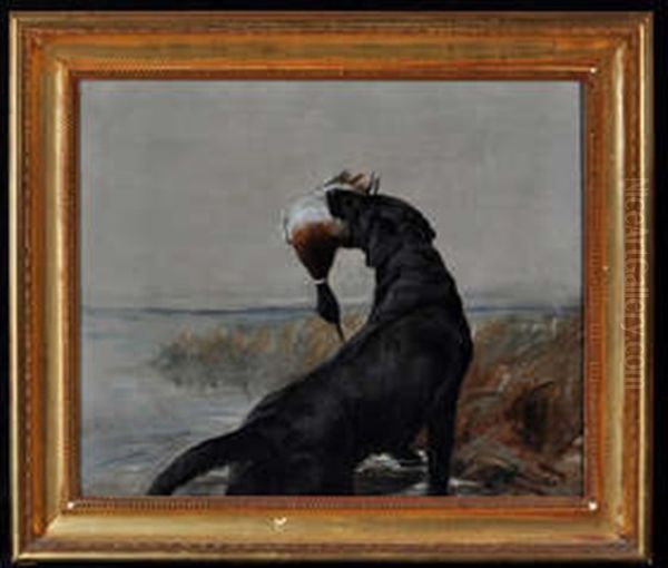 Labrador Picking Up A Runner - view 1