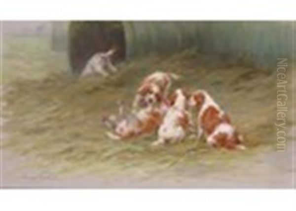 Spaniel Puppies At Play - view 1