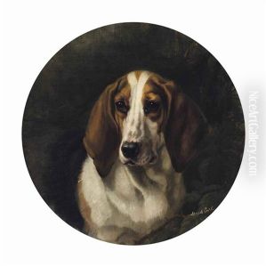 A Favourite Hound