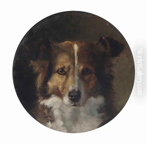 A Faithful Collie - view 1