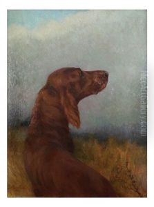 Outdoor Depiction Of An Irish Setter With Head Turned In Half Profile Pose