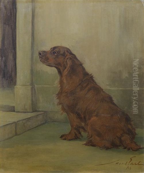 A Liver Springer Spaniel - view 1