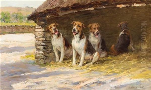 Dogs In A Kennel - view 1