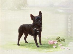 Standing Schipperke by Maud Earl