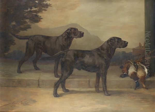 Labrador Retrievers: Field Trial Champion Peter Of Whitmore And Champion Type Of Whitmore - view 1