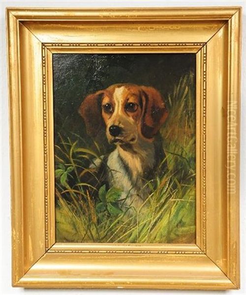 Portrait Of A Beagle - view 1
