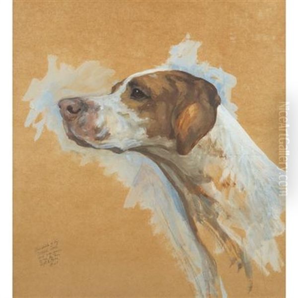 American Pointer (study) - view 1