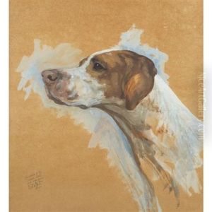American Pointer (study) American Pointer (study)