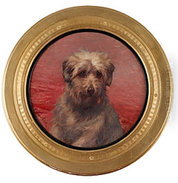 Terrier - view 1