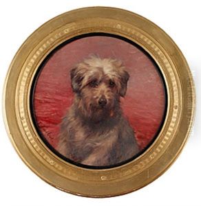 Terrier