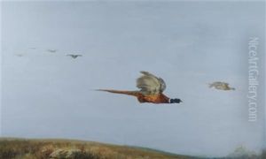Pheasants In Flight by Maud Earl