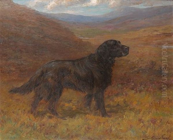 A Flat Coat Retriever In A Moorland Landscape - view 1