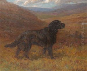 A Flat Coat Retriever In A Moorland Landscape by Maud Earl