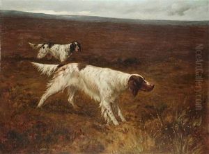 The English Setter "carta Carna", The Property Of F.c. Lowe Esq., Working On A Moor by Maud Earl