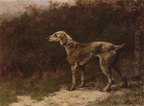 "clyde Boy", A Beddington Terrier - view 1