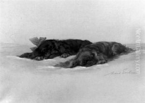 Toy Spaniels, "king Charles" And "rudy", The Pillow Is The Best...