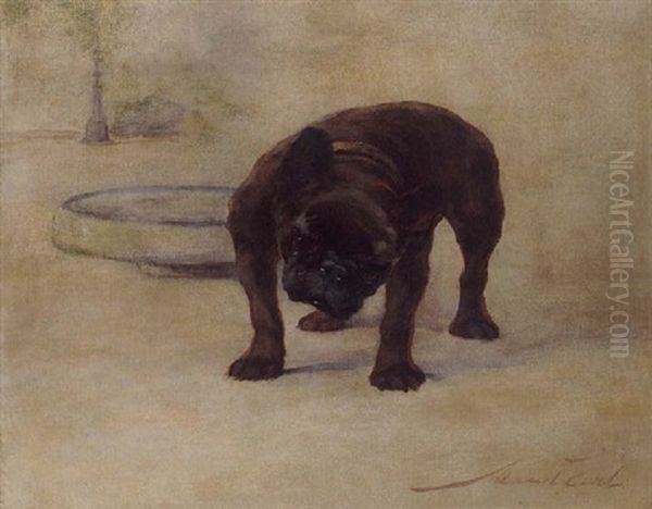 French Bulldog Champion, Dinnette - view 1
