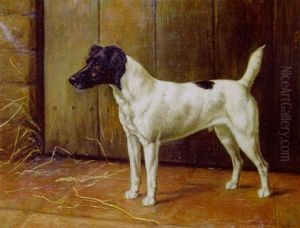 Champion "d'orsay", A Wire-haired Fox Terrier In A Barn Champion "d'orsay", A Wire-haired Fox Terrier In A Barn