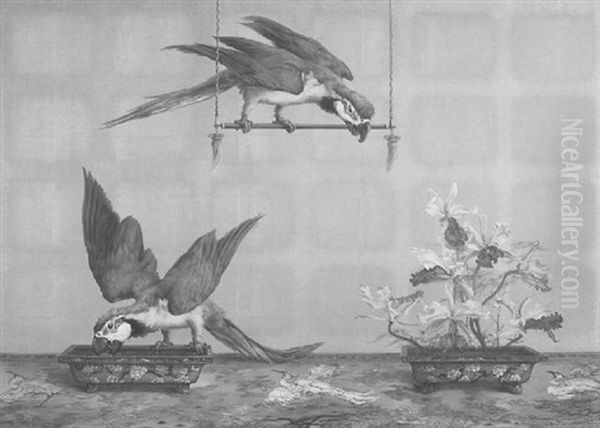 Parrots - view 1